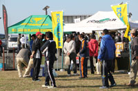 �W���u�[�X�@���K�o�X�l�@�}���L���[�l