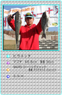 2012EST�H�G���@���̑��@���� ����@�}�S�`