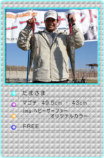 2012EST�H�G���@���̑��@���� ����@�}�S�`