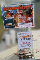 �q�����t���������