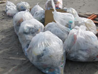 �r�[�`�N���[���@����