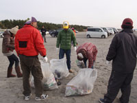 �Q���҃r�[�`�N���[���@����