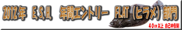 2012年 ESH 年間エントリー FLAT(ヒラメ)部門