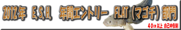 2012年 ESH 年間エントリー FLAT(マゴチ)部門