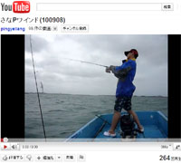 ���C���h�ޖ@�e�N�j�b�N�x