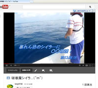 �j�󖂃V�C���c(��)